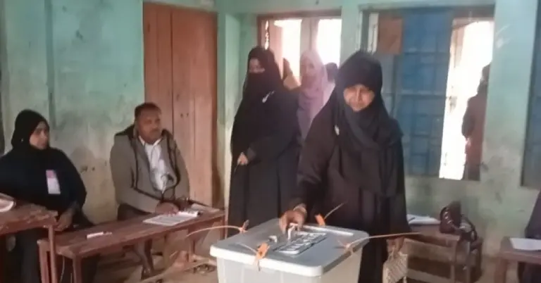 ভোট দিচ্ছেন ভোটার